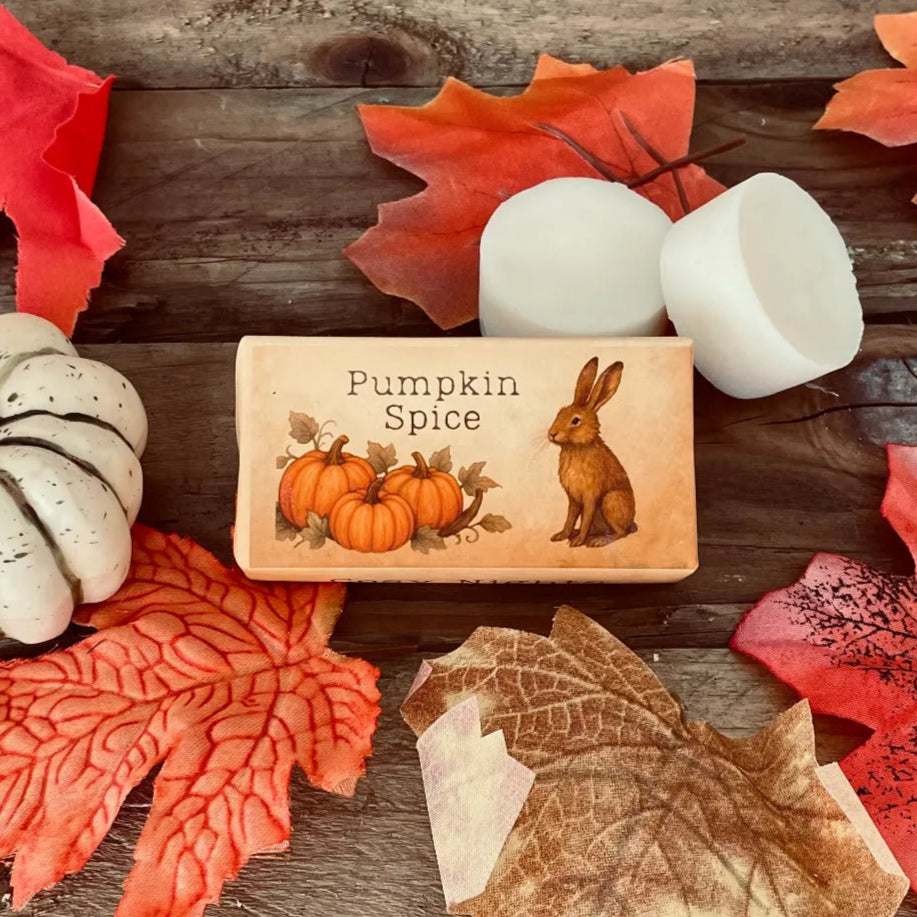 Pumpkin Spice wax melts close up. Paper wrapped rectangle wax melts with 'Pumpkin Spice' text and a pumpkin and hair designed image. Surrounded by autumn leaves a pumpkin and two wax melt discs on a rustic wooden table.