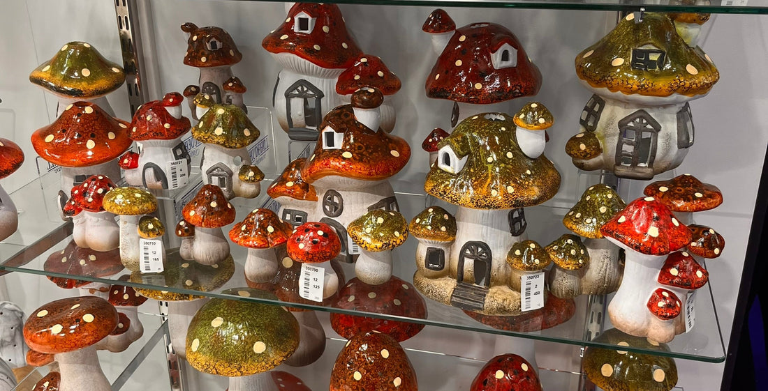 We Went Treasure Hunting (and brought back shrooms)!