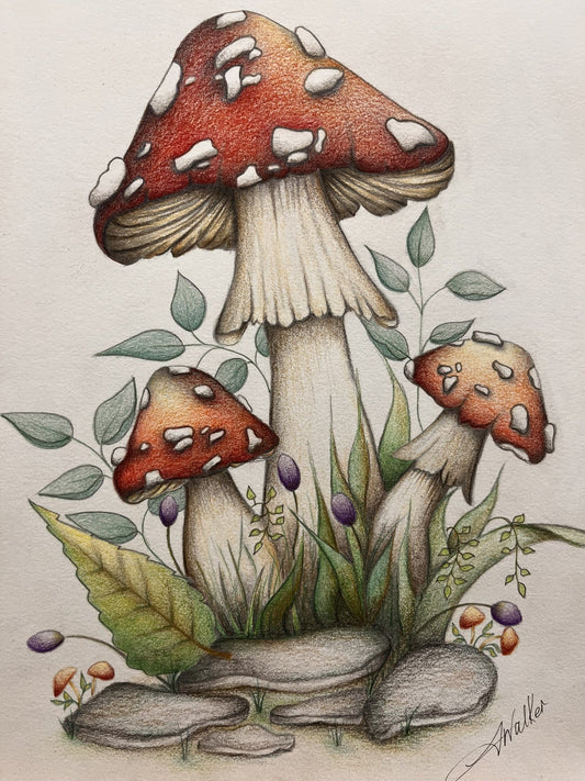 A Season for Slow Creativity