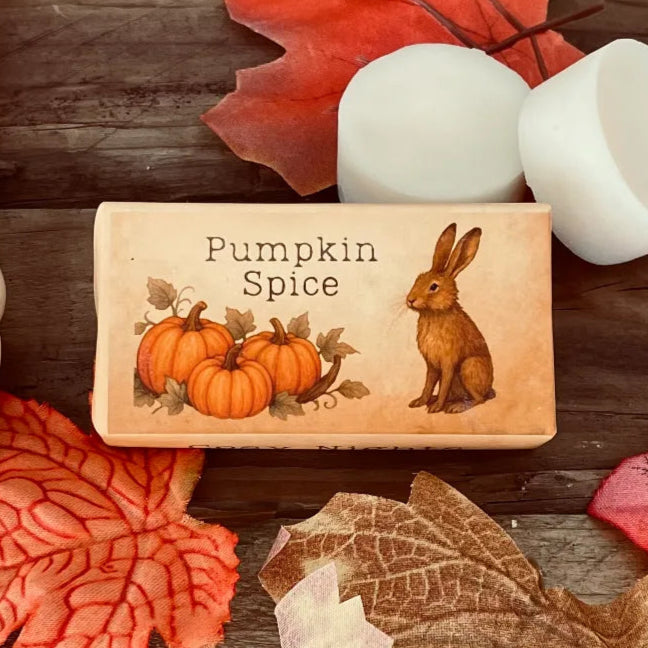 Pumpkin Spice wax melts front side. Wrapped rectangle wax melts with 'Pumpkin Spice' text and a pumpkin and hair designed image. Resting on a natural wood table surrounded by autumn leaves and two wax melt discs.