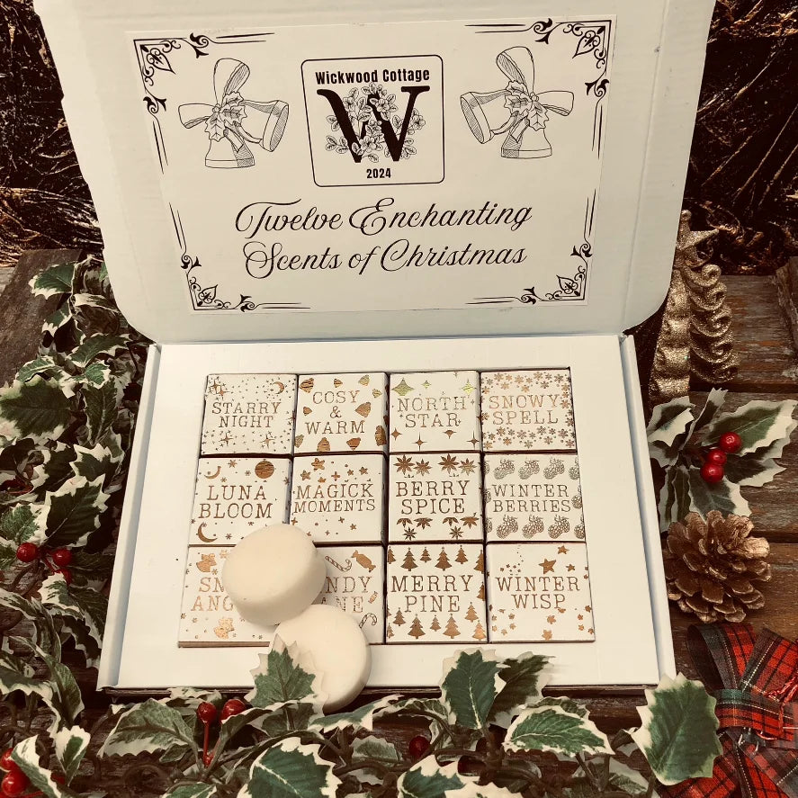 An open white Christmas box full of square individually wrapped wax melts in 12 different fragrances. Each melt is wrapped in white paper with gold text.  The box sits on a rustic wooden surface surrounded by holly and pine cones.