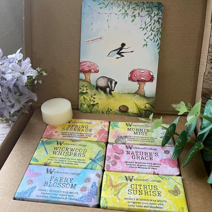A collection of wax melts from Wickwood Cottage, six wax melts displayed in a box with a floral and garden motif. The wax melts are in various colors and have labels with different scent names. In the background is a postcard displaying an enchanted spring scene with a faery, toadstools, hedgehog and a badger 